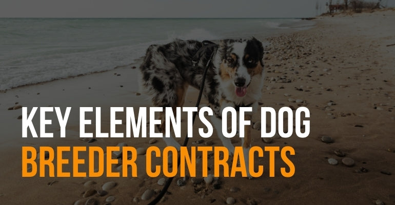 fenrir canine leaders key elements of dog breeder contracts