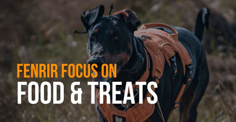 fenrir focus on food and treats