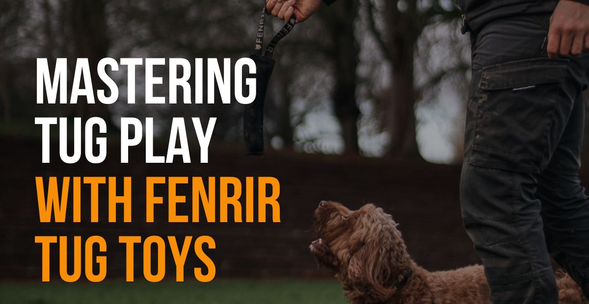 fenrir canine leaders mastering tug play with fenrir tug toys