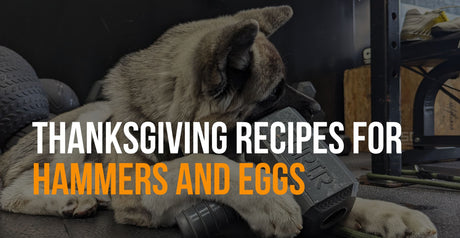 Thanksgiving Leftovers Dog Treat Recipes