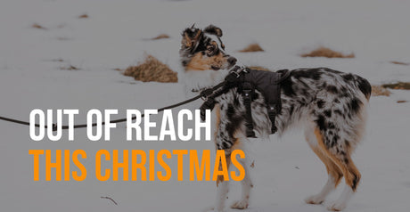fenrir canine leaders out of reach this Christmas