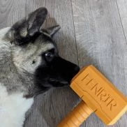 fenrir canine leaders chew toy collection
