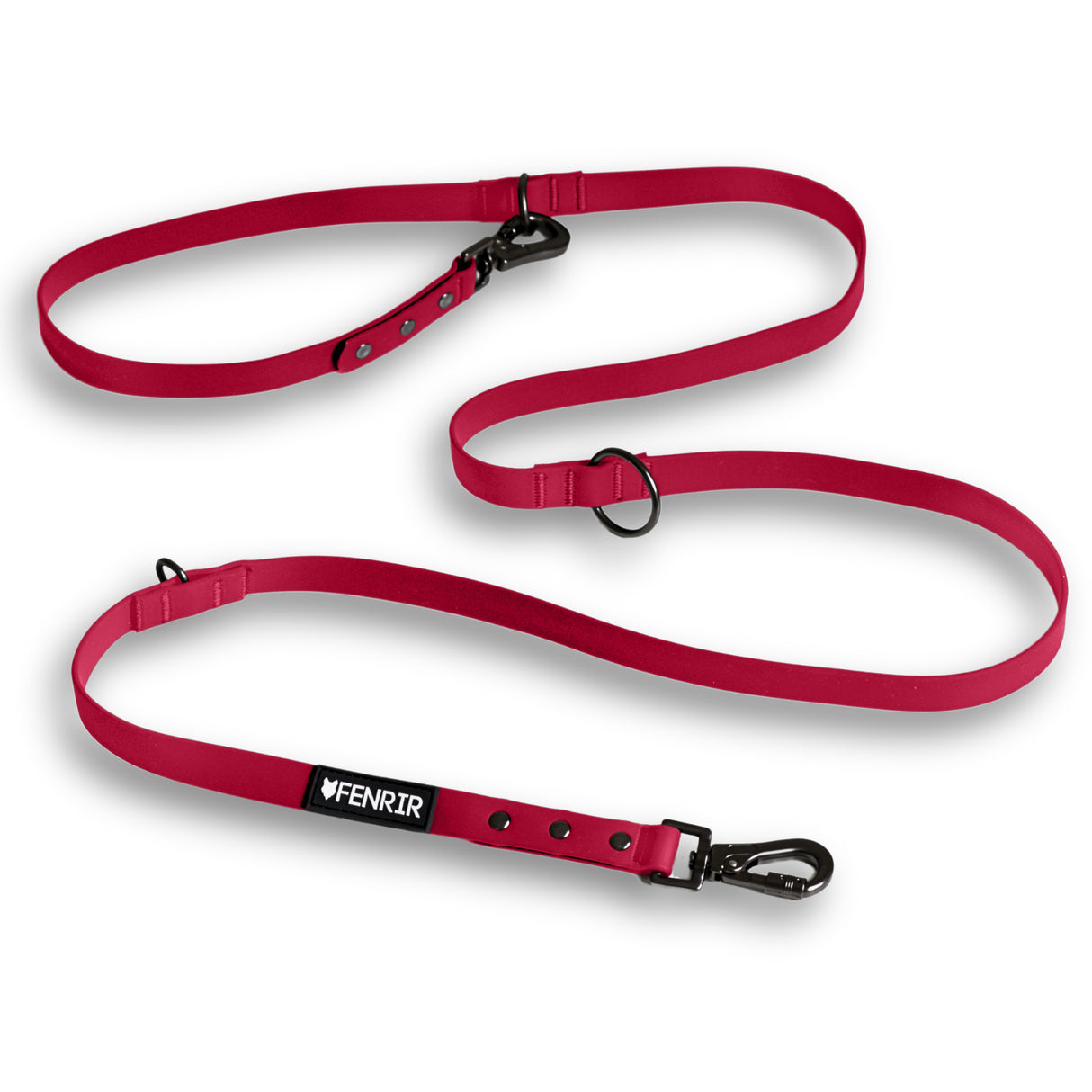 Dog Training Leash