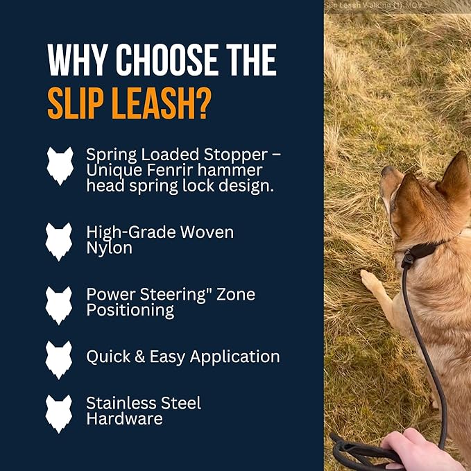 Fenrir Slip Leash 1.4m Professional Dog Training Lead to Stop Pulling, Perfect for Walks, Easy to Use, Spring Loaded Stopper, Light Weight and Durable