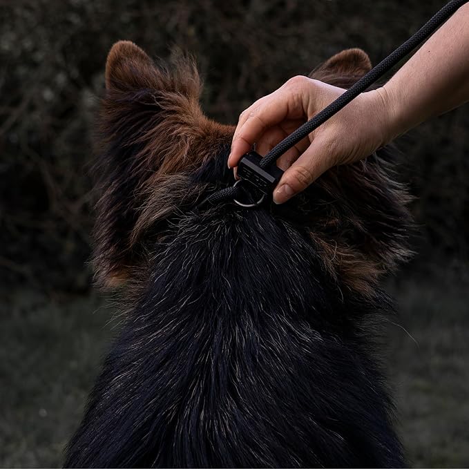 Fenrir Long Line Slip Leash 6m Professional Dog Training Lead to Train Recall, Perfect for Recall, Easy to Use, Spring Loaded Stopper, Light Weight and Durable