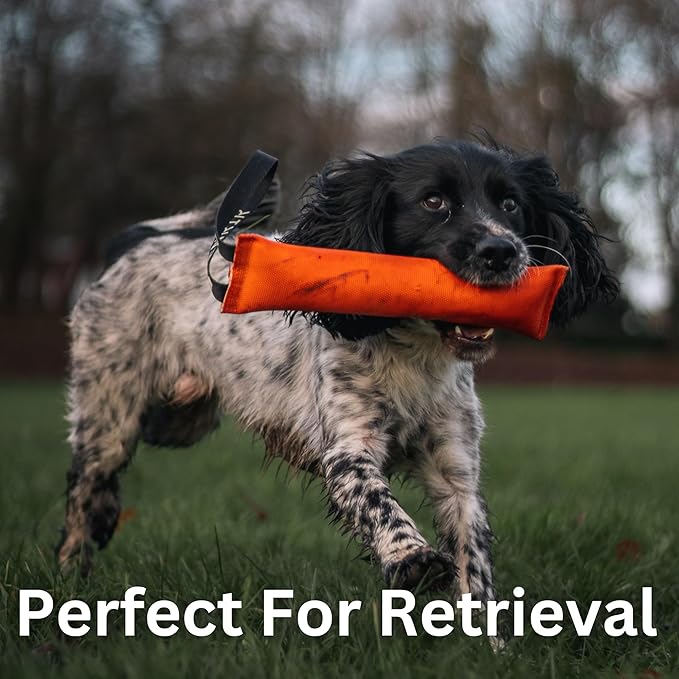 Fenrir 12 Inch Rugged Fire Hose Dog Tug Toy for Large Dogs No Squeaker, Firm Stuffing for Canines