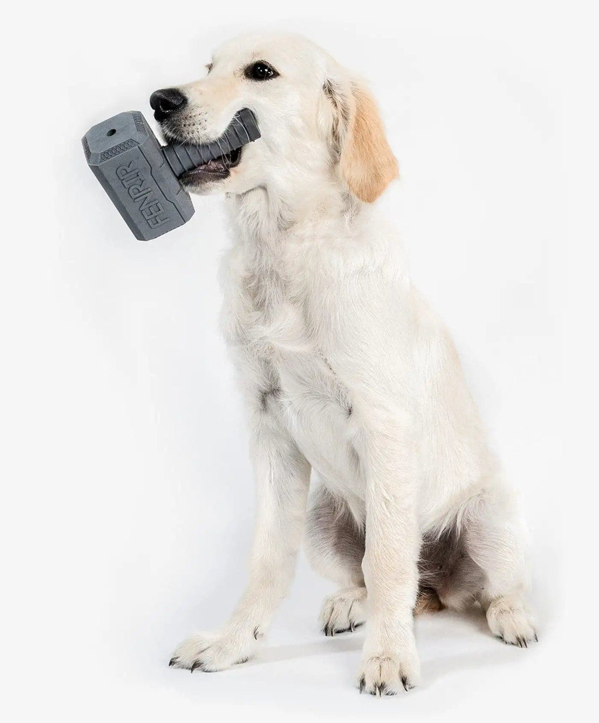Fenrir Canine Leaders Mental Stimulation Bundle