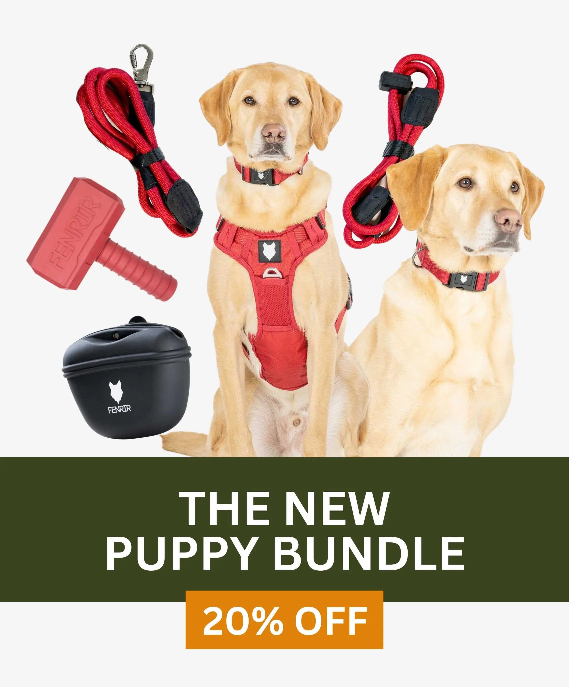 Fenrir Canine Leaders New Puppy Bundle