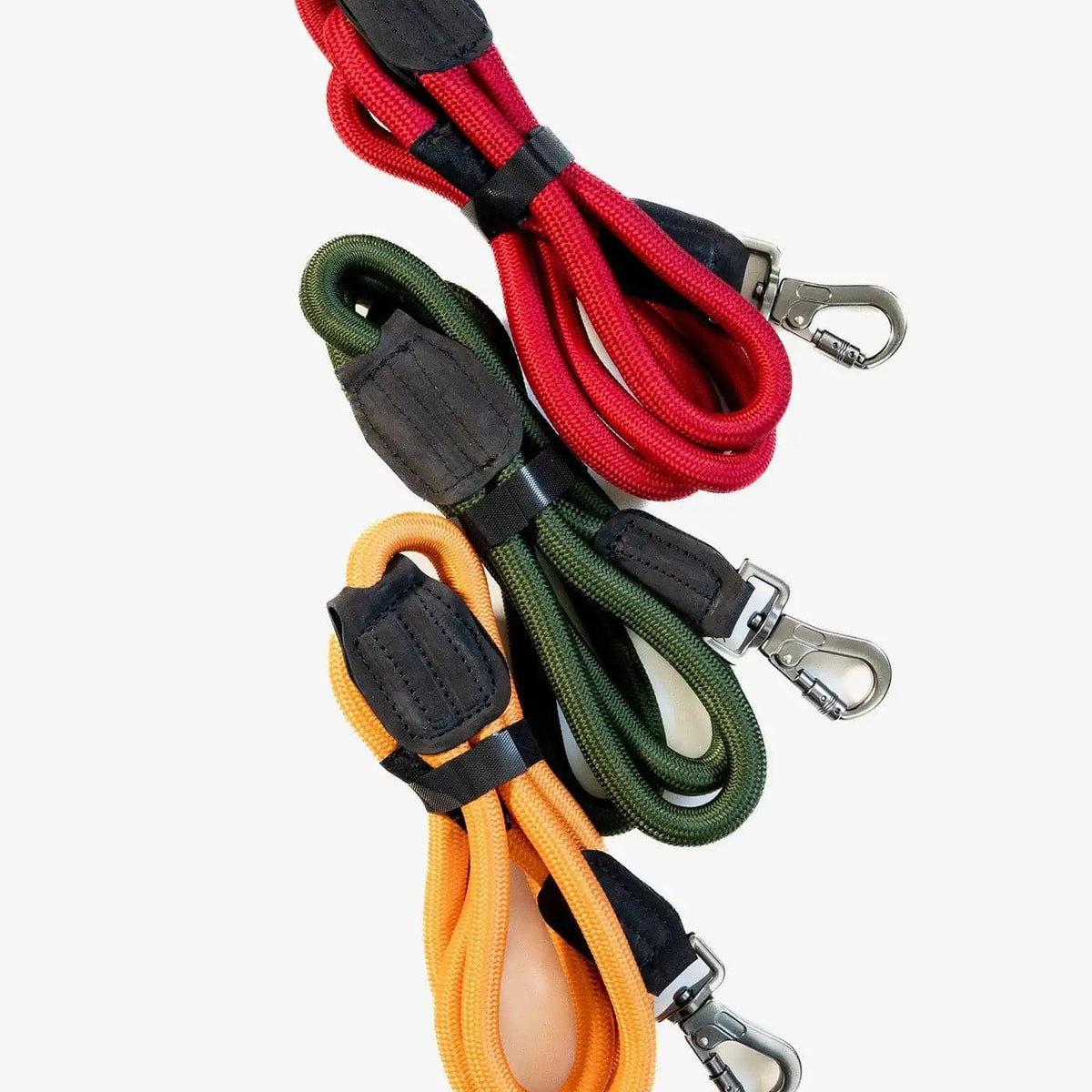bungee cord leash