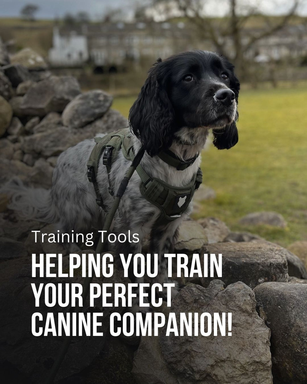 fenrir canine leaders training tools collection banner mobile