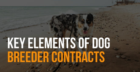 fenrir canine leaders key elements of dog breeder contracts
