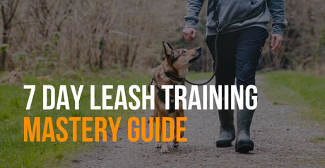 fenrir canine leaders 7 day leash training mastery guide