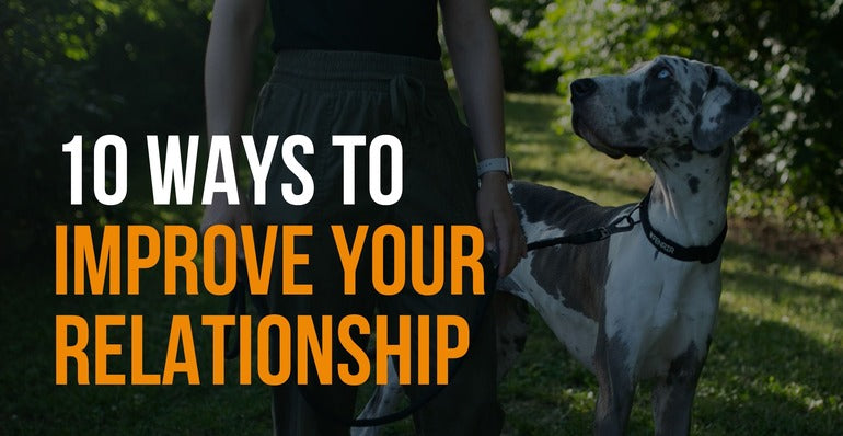 10 ways to improve your relationship