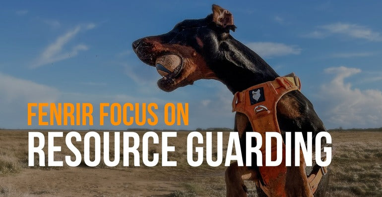 fenrir focus on resource guarding