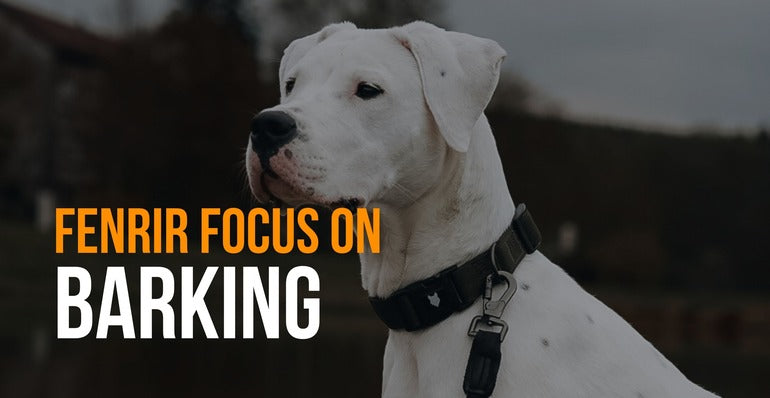 fenrir-canine-leaders-fenrir-focus-on-barking