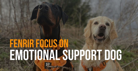 fenrir focus on emotional support dogs