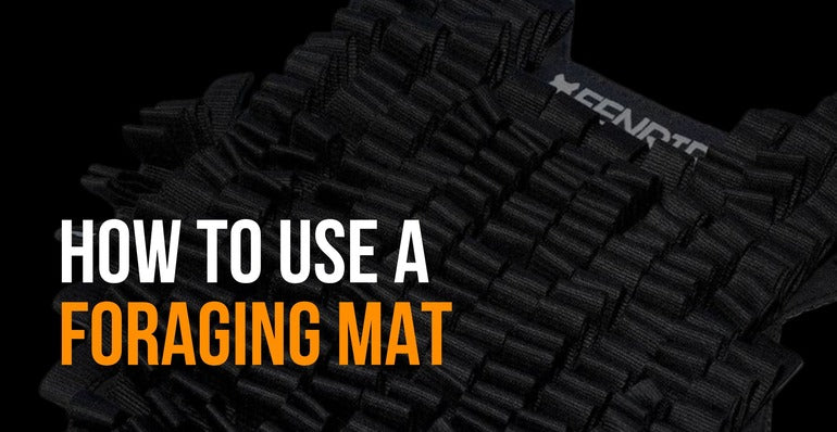 How to Use a Foraging Mat – Fenrir Canine Leaders