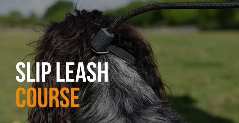 slip leash course