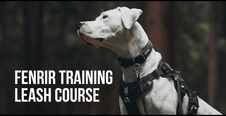 training leash course