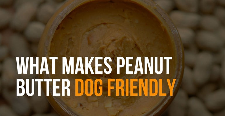 what makes dog friendly peanut butter