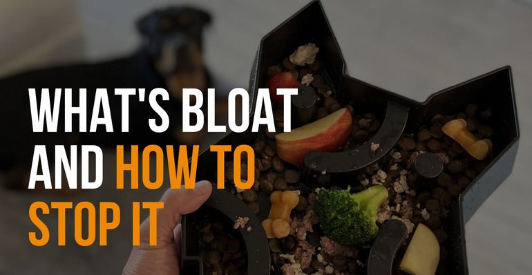 what is bloat and how to stop it