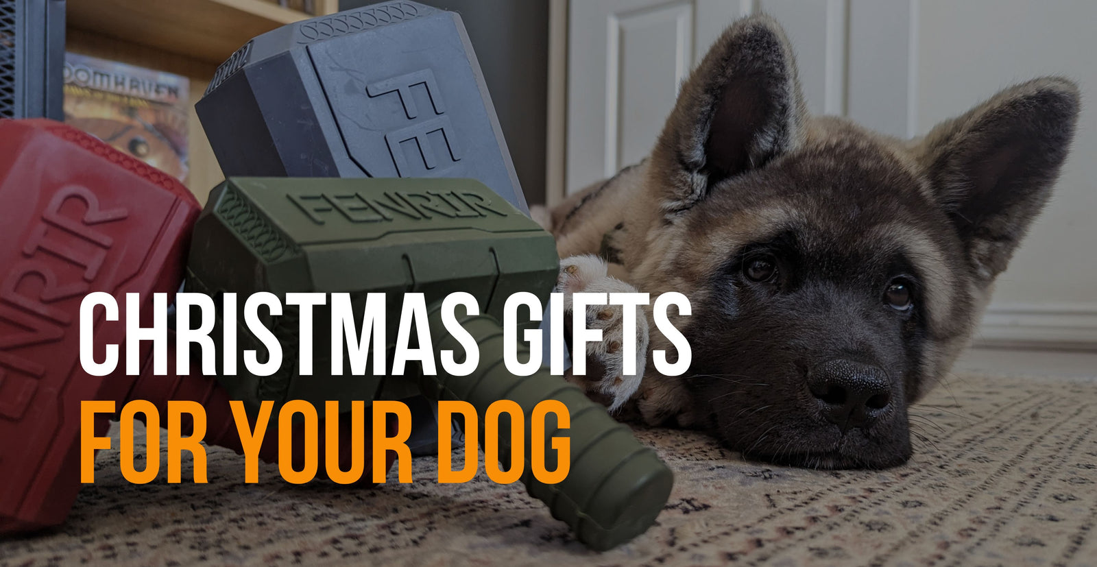fenrir canine leaders christmas gifts for your dog