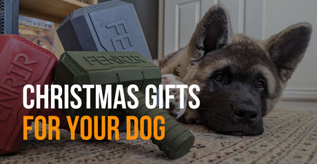 fenrir canine leaders christmas gifts for your dog
