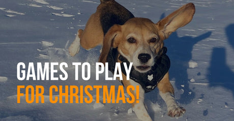 fenrir canine leaders dog games for Christmas
