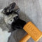 CHEW TOYS