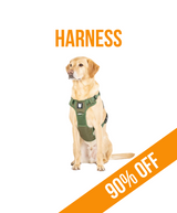 Ragnar Dog Harness