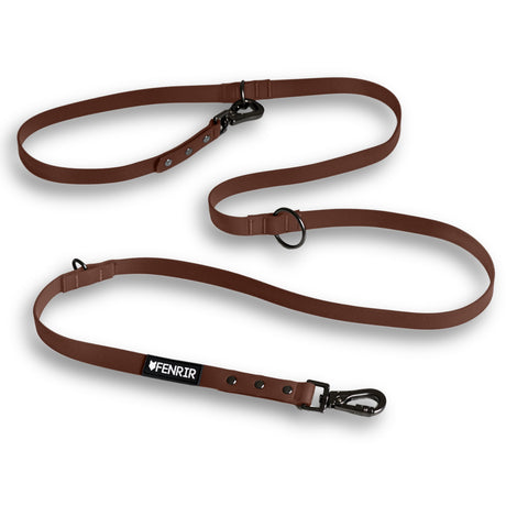 Dog Training Leash