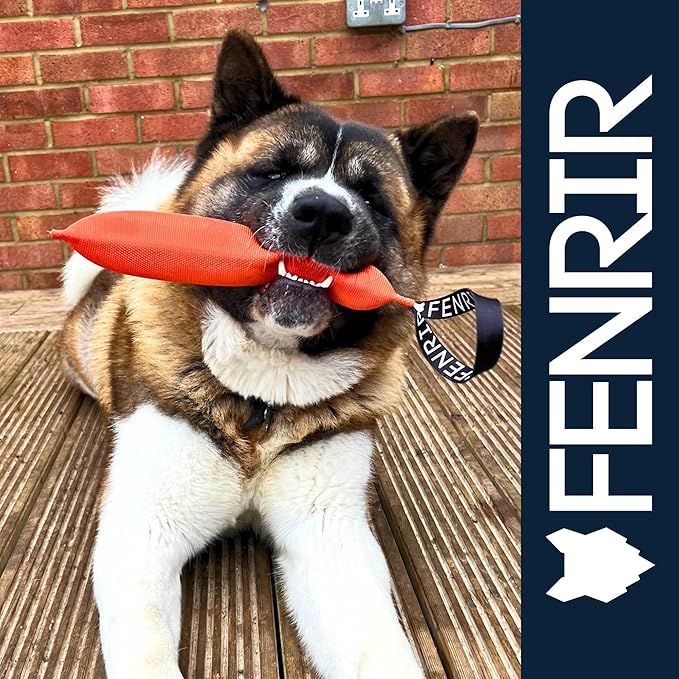 Fenrir 12 Inch Rugged Fire Hose Dog Tug Toy for Large Dogs No Squeaker, Firm Stuffing for Canines (One Handle)