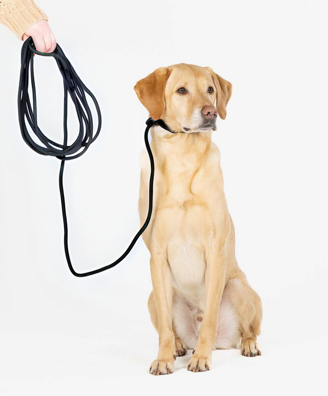 Ragnar Long Line Slip Leash The Ultimate Recall Training Tool Fenrir Canine Leaders