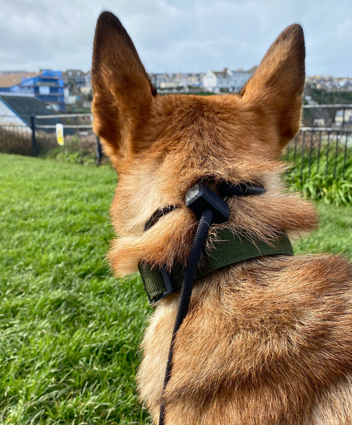 No slip collar online