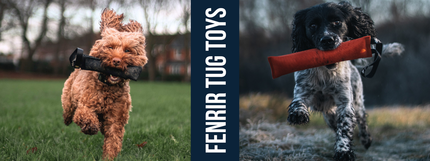 Fenrir 12 Inch Rugged Fire Hose Dog Tug Toy For Large Dogs No Squeaker, Firm Stuffing For Canines