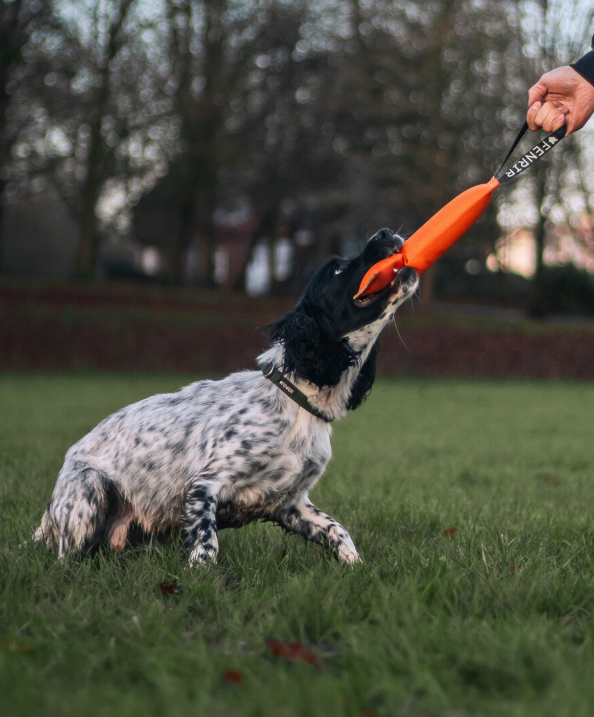 fenrir canine leaders fenrir bit resistant tug toy dog tugging