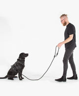 Fenrir Canine Leaders Black Ragnar Dog Training Leash