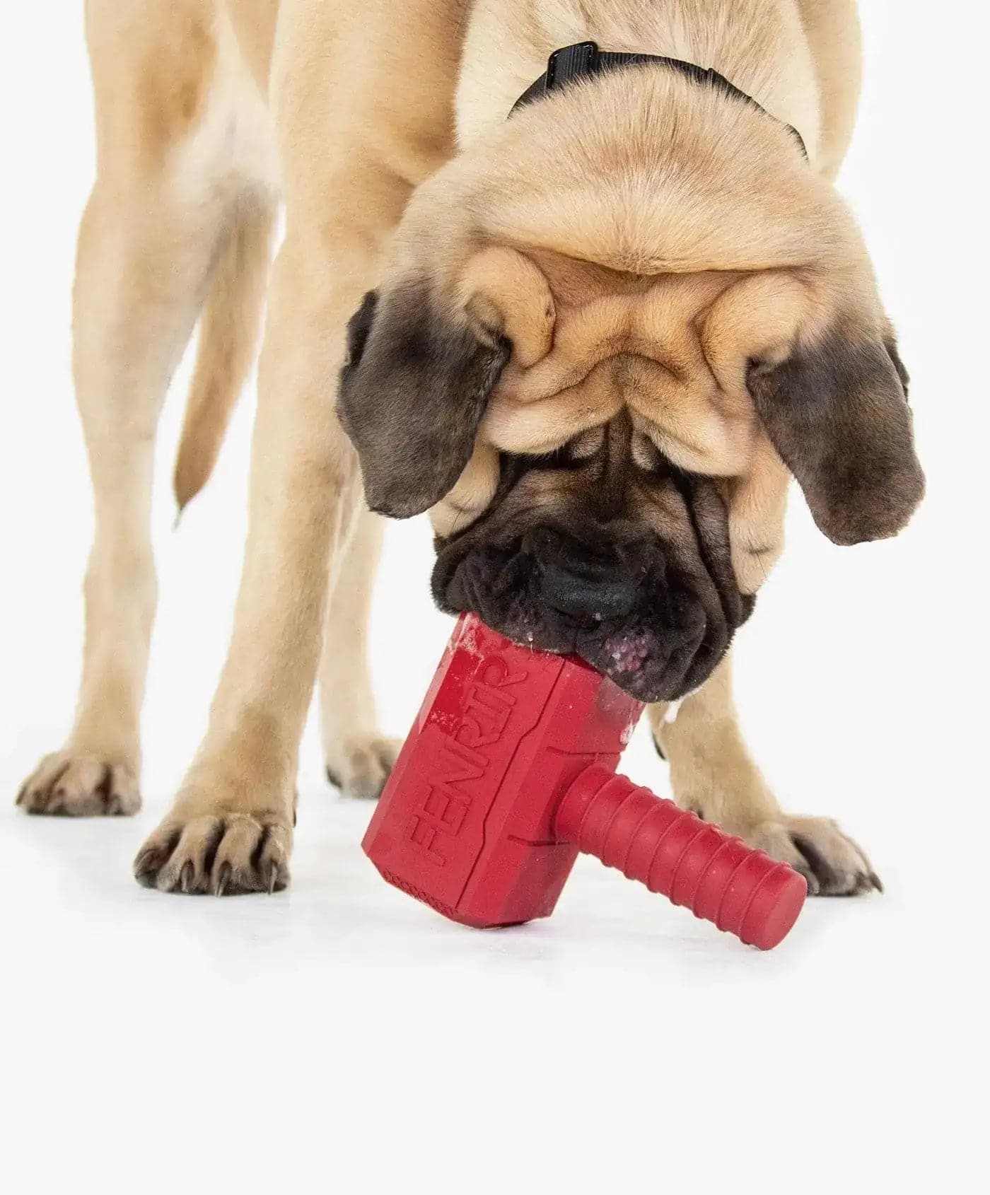 Fenrir Canine Leaders Chew Toy Bundle