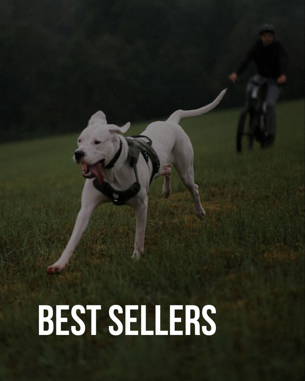 https://fenrircanineleaders.com/cdn/shop/files/fenrir-canine-leaders-collection-best-sellers-mobile.jpg?v=1696845728&width=980