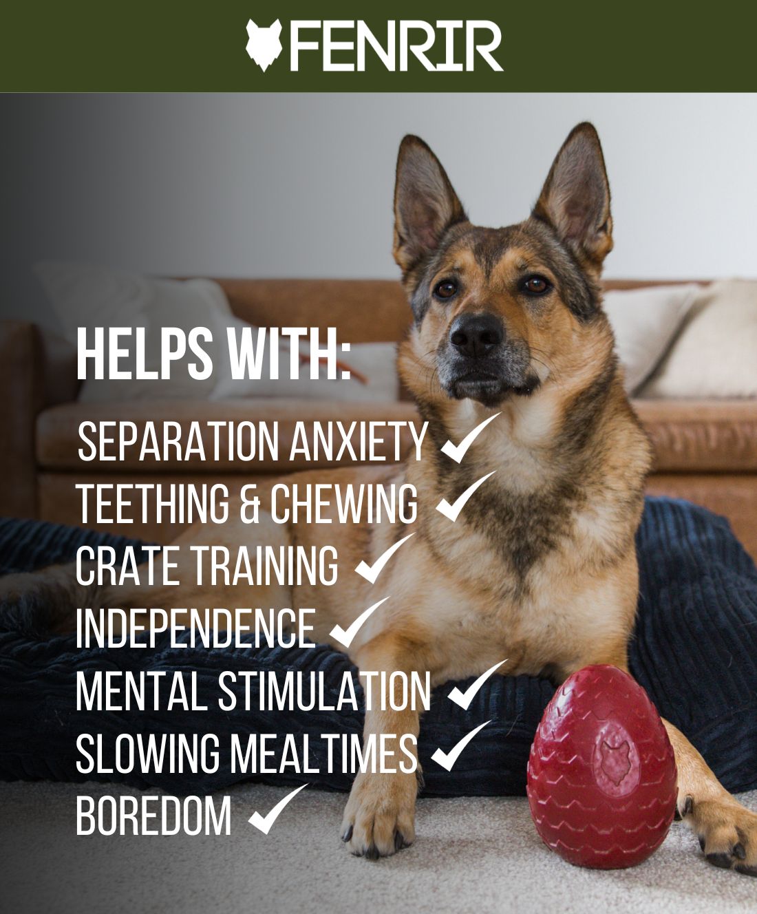 Mental Stimulation Bundle – Fenrir Canine Leaders