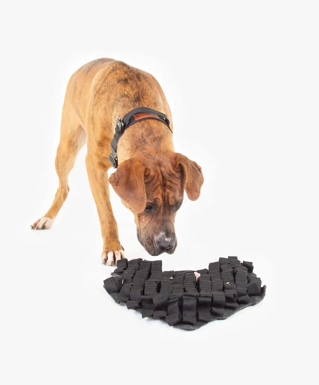 Best Snuffle Mats For Dogs For Stimulation and Slow Feeding