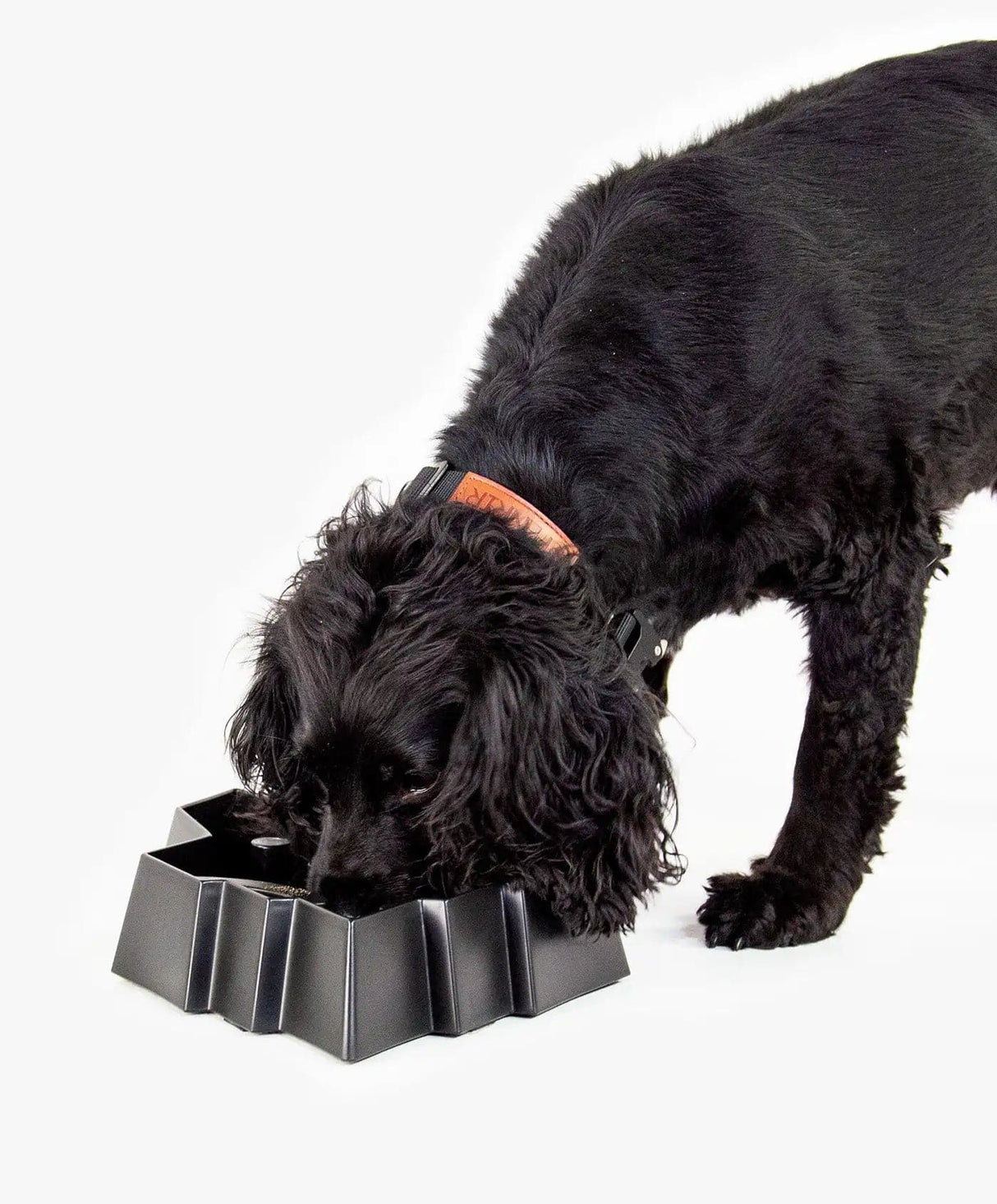 Dog Slow Feeder Bowl Non-Slip Silicone Puzzle Bowl Pet Slower Food Feeding  Dishes Fun Dog