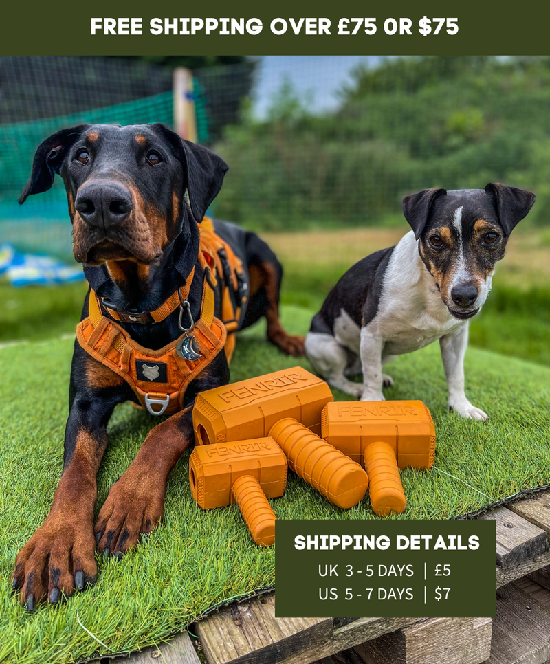 The Fenrir Hammers Heavy Duty Virtually Indestructible Dog Toys