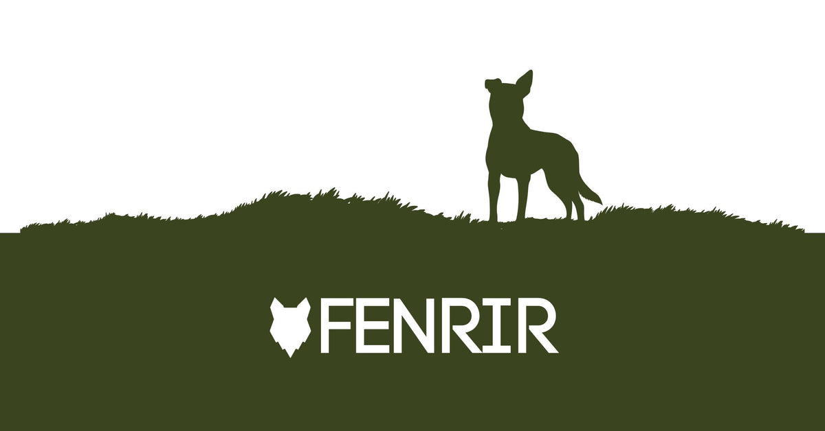 Fenrir Blog – Fenrir Canine Leaders