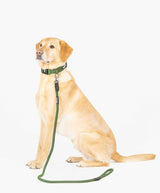 Fenrir Canine Leaders Green Ragnar Dog Leash