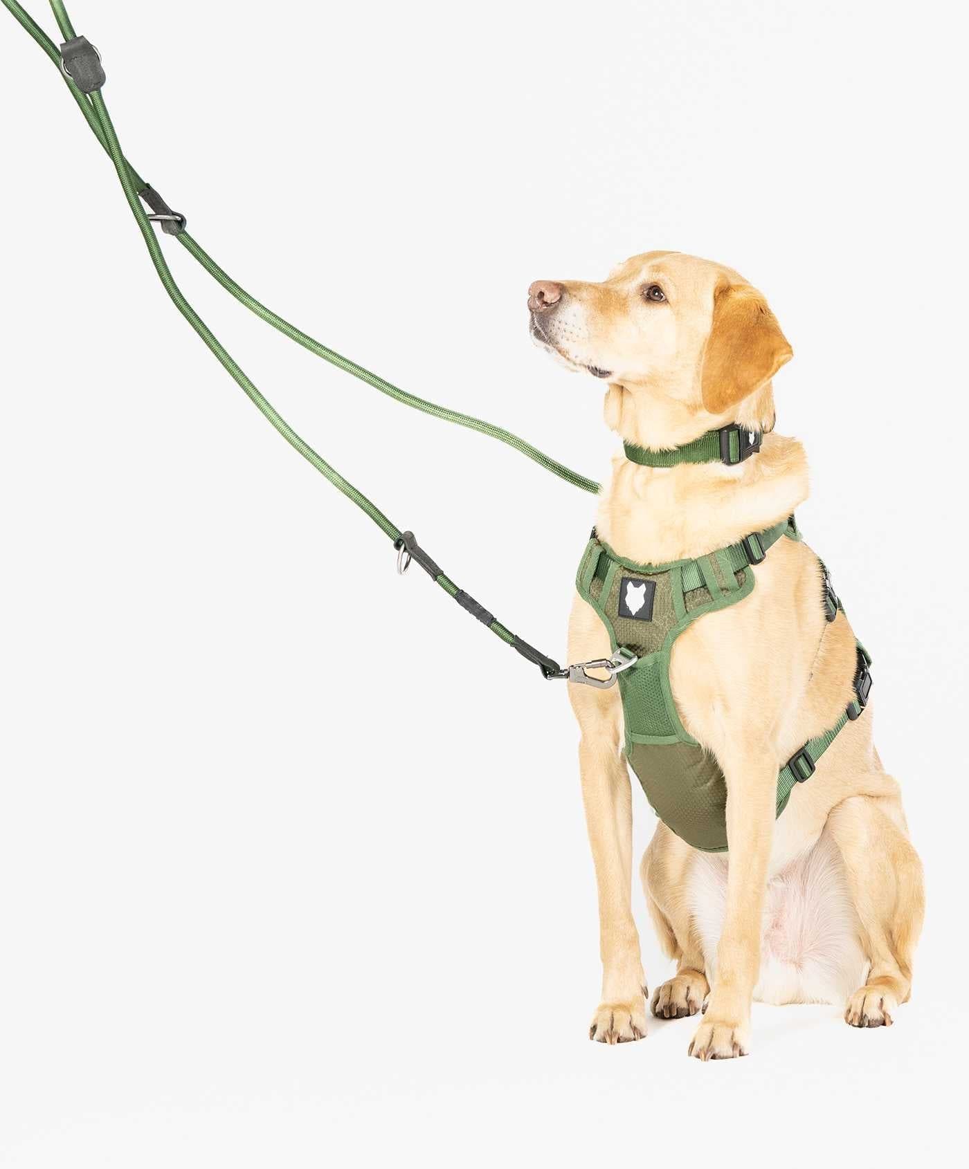 Fenrir Canine Leaders Green Ragnar Dog Training Leash