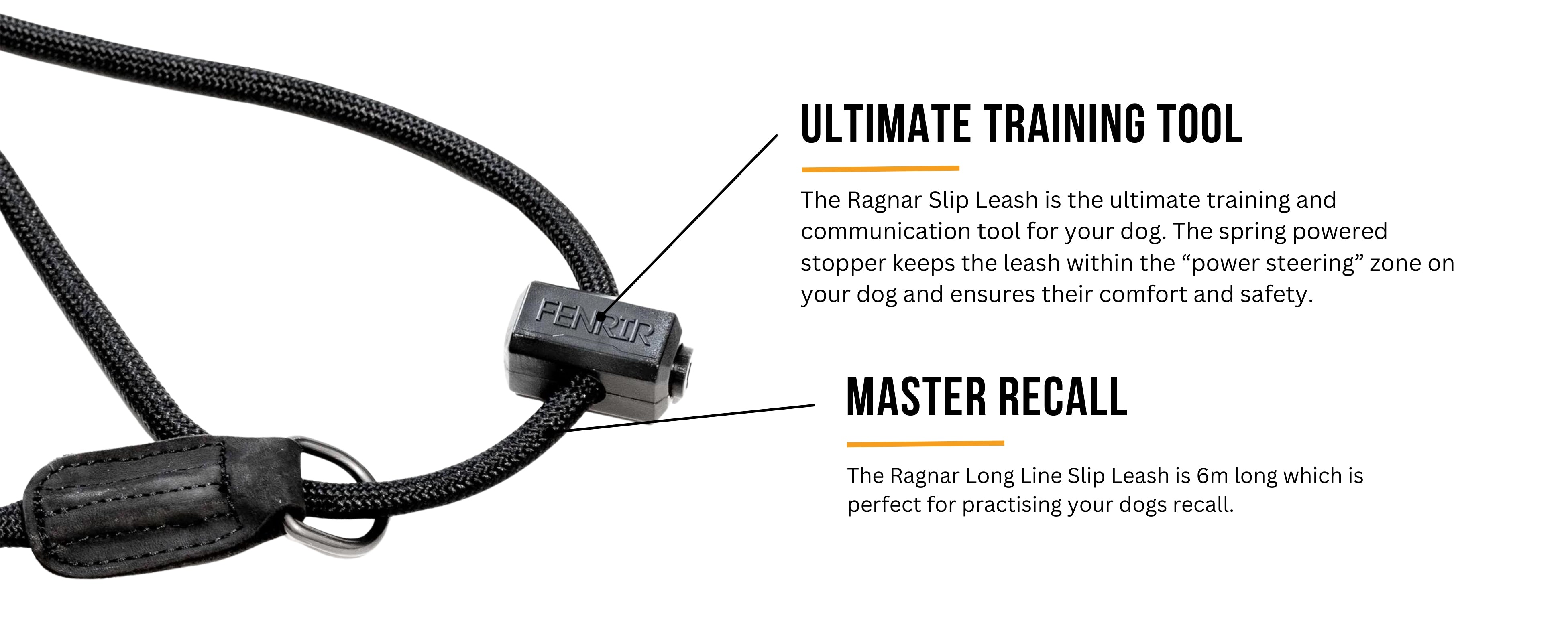 Ragnar Long Line Slip Leash The Ultimate Recall Training Tool