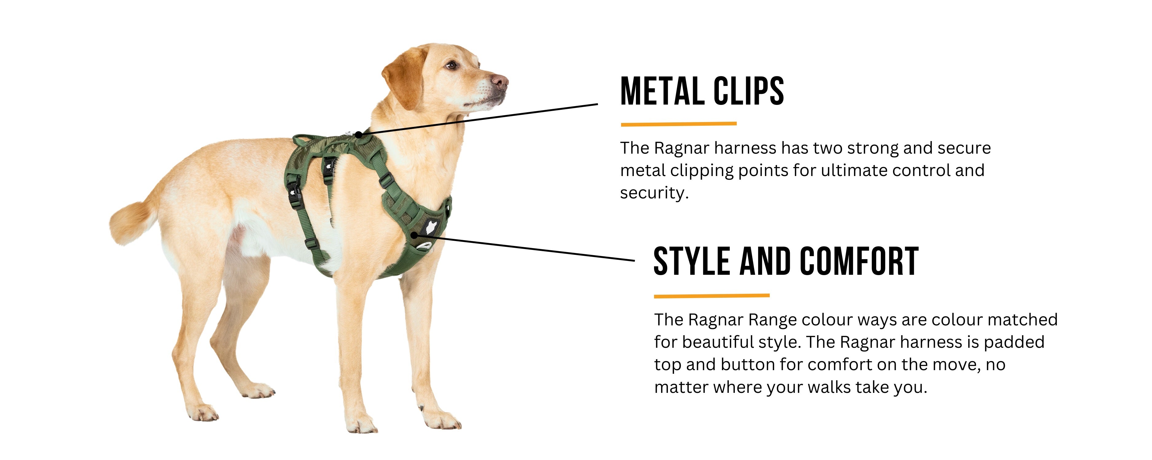 Ragnar Dog Harness Tough and Durable Dog Harness Fenrir Canine Leaders