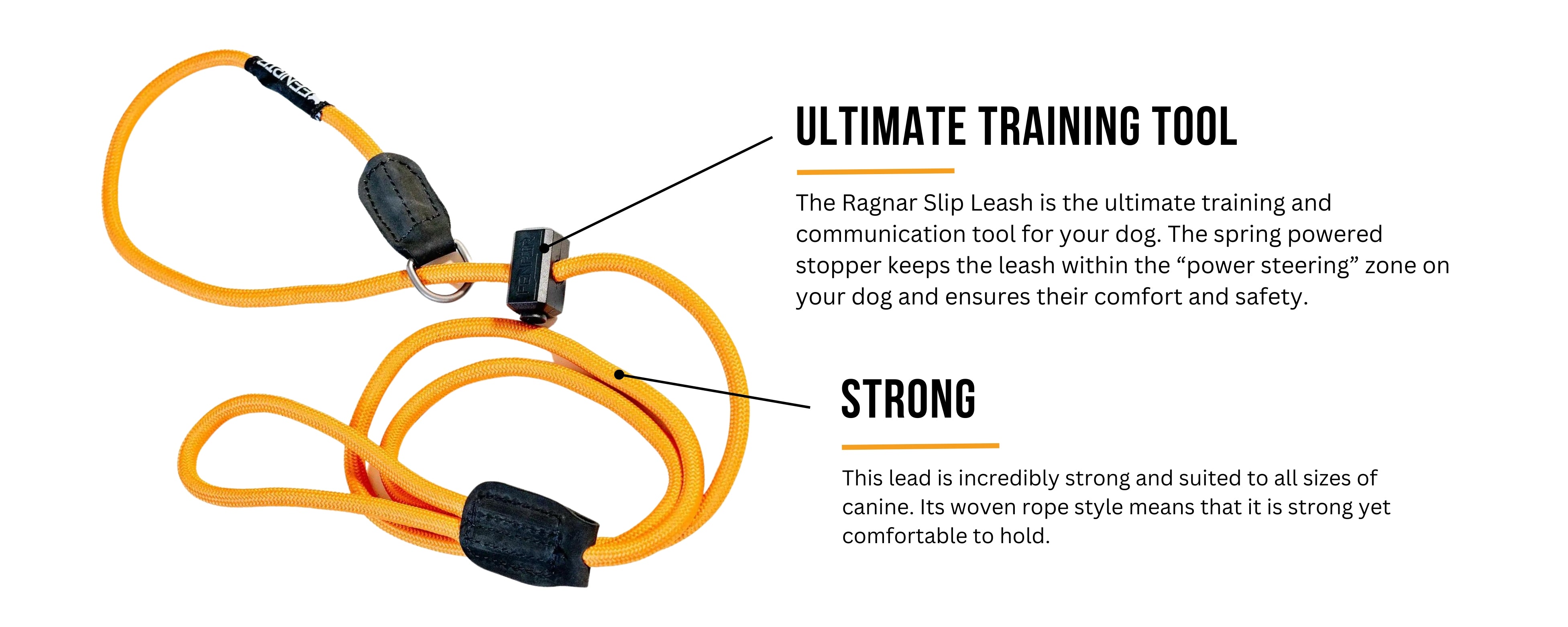 Ragnar Slip Lead For Dogs Leader in Comfort and Effectiveness