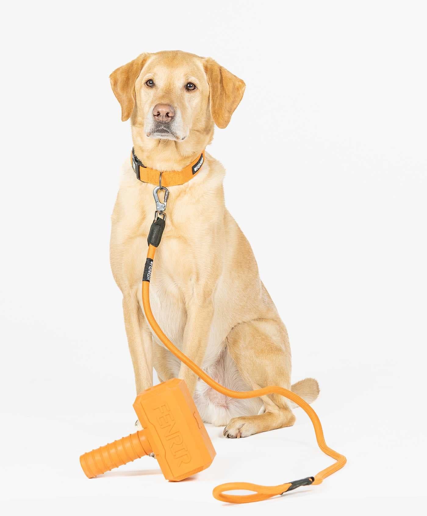 Fenrir Canine Leaders Orange Ragnar Dog Leash